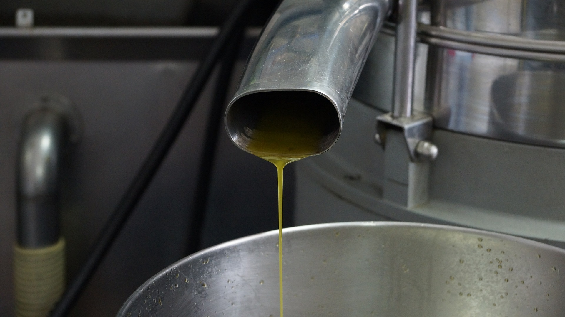 Industria Aceitera